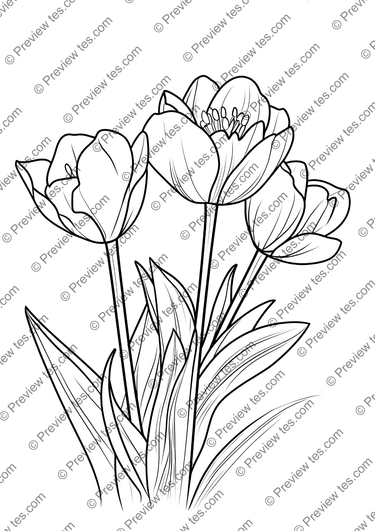 Spring Colouring Completed First Day of Spring Colouring Page - Nature Awakening Sheets | Seasonal ...