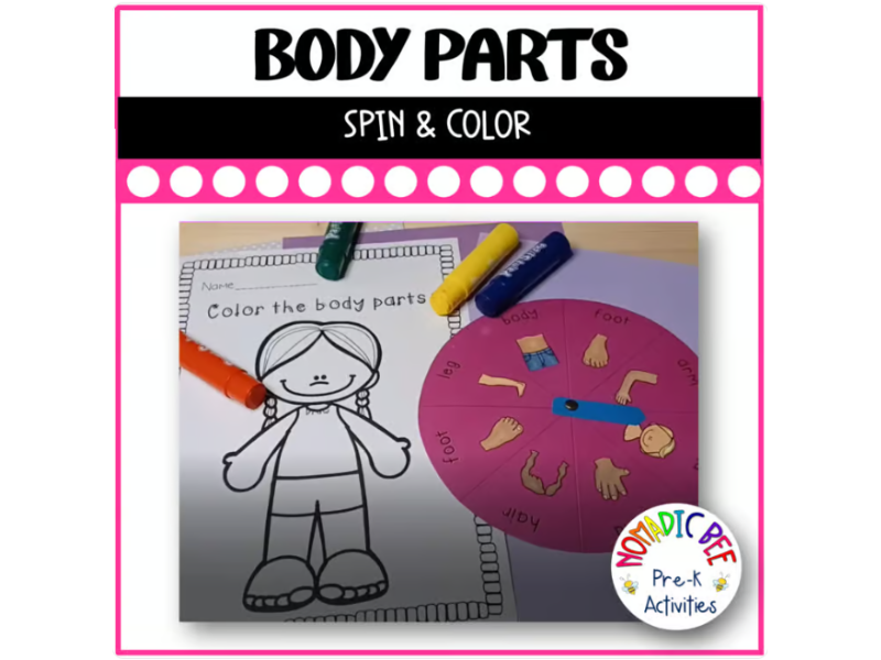 Body Parts, Spin and Color