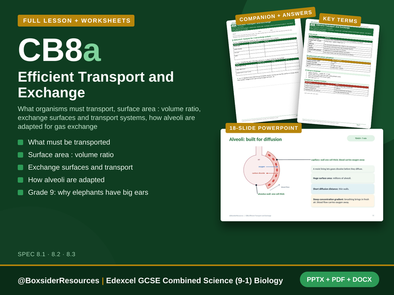 CB8a Efficient Transport and Exchange | Edexcel Combined Science (9-1) | Lesson + Worksheet