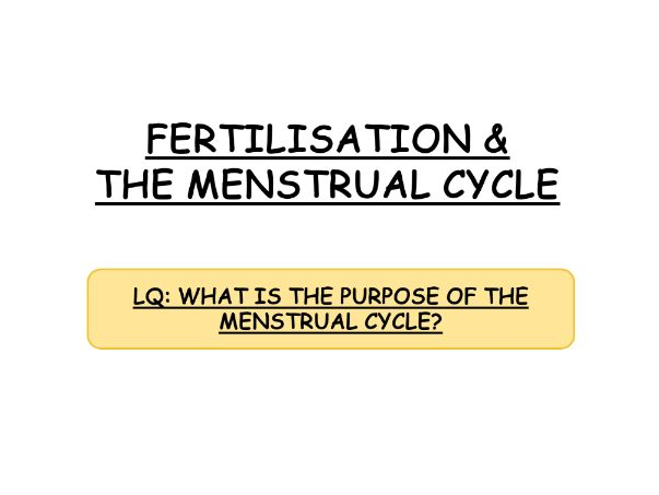 **iGCSE Biology Edexcel - FERTILISATION & MENSTRUAL CYCLE**