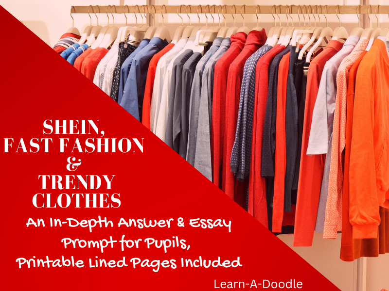 SHEIN, Fast Fashion & Trendy Clothes Make Fashion Waste! Answer & Essay Prompt
