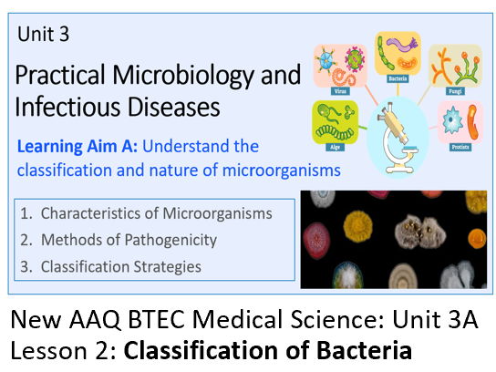 AAQ BTEC Medical Science Unit 3A Classification and Nature of Microorganisms – Lesson 2: Bacteria
