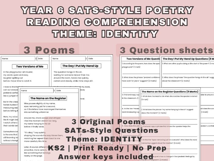 Year 6 SATs Poetry Reading Comprehension Identity Theme | 3 Poems Questions Mark Scheme KS2