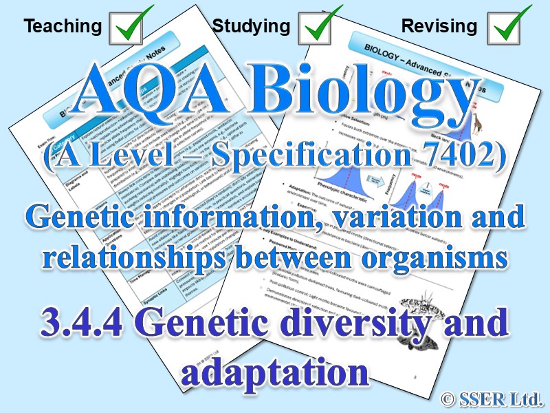 BIOA_AQA Topic Notes: 3.4.4 Genetic diversity and adaptation