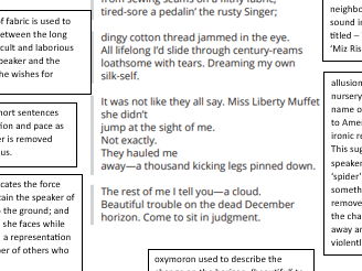 miz rosa rides the bus poem with notes