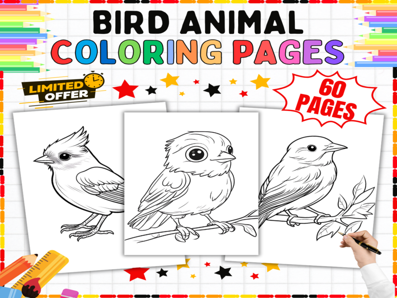 Bird Coloring Pages | Animal Colouring Sheets for Kids - Wildlife Art Activities & Worksheets