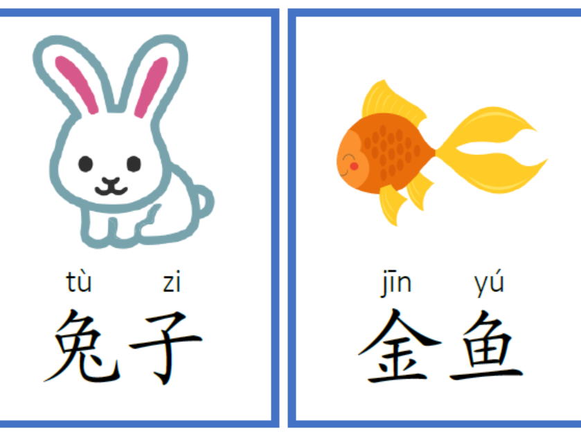 Animals Flashcard _Flashcards in Mandarin Chinese