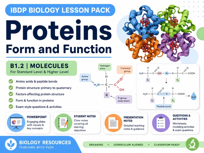 B1.2 Proteins (IB Biology SL/HL)