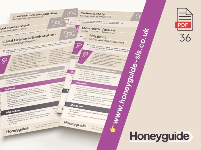 Safeguarding Snapshot Posters