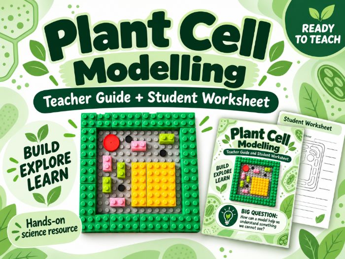 Plant Cell Modelling Activity – KS3 & KS4 Biology | Scientific Models | Complete Lesson