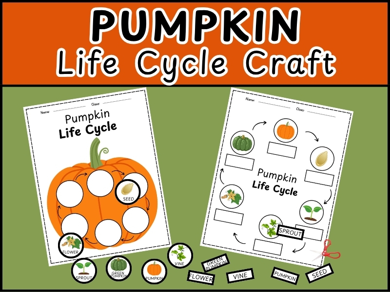 Pumpkin Life Cycle Craft Kindergarten | Life Cycle of a Pumpkin Craft Activity