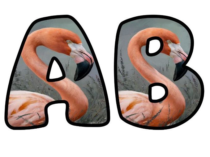 Oil Painting Flamingo Bird Classroom Display | Lettering Set | Upper & Lowercase, 0-9 and Signs