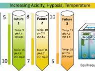 iGCSE Chemistry - Experimental Design