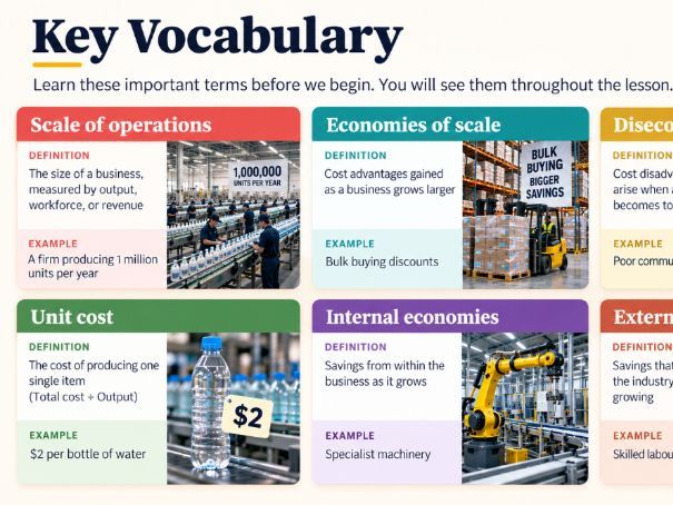 A Level Business - 9.1.2 Scale of operations