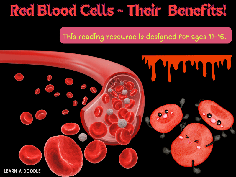 Red Blood Cells and Their Life-Saving Benefits Explained for ages 11-16!