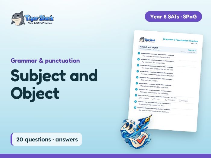 Subject and Object Worksheet: Year 6 SPaG