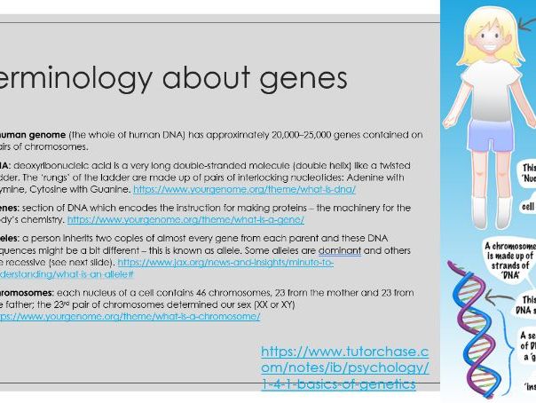 IB Psychology (new syllabus 2025) - Genetic inheritance (Biological)
