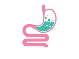 AQA GCSE Biology Intruduction to Digestion and Enzymes