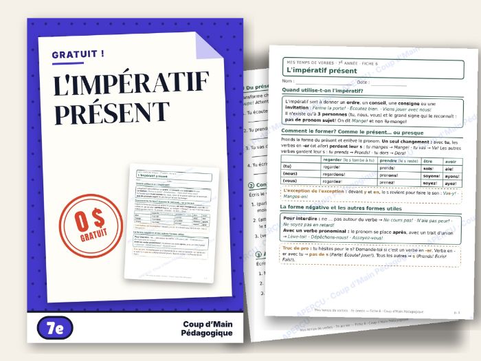 French Imperative Worksheet Grade 7 Commands Verb Conjugation | L'impératif