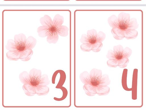 Blossom number flashcards