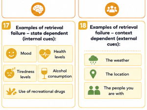 Psychology Explanations of Forgetting
