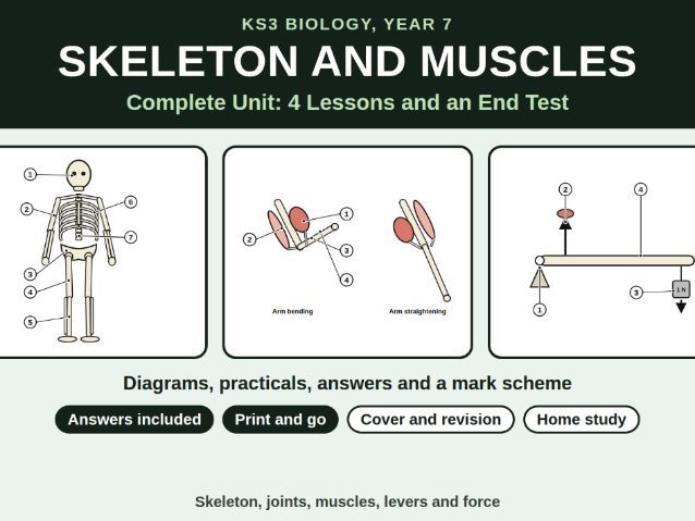 KS3 Biology Skeleton and Muscles Unit Bundle