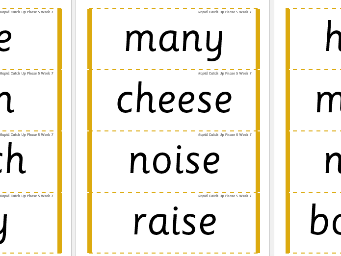 Rapid Catch Up Phase 5 Week 7 (Supports Little Wandle)