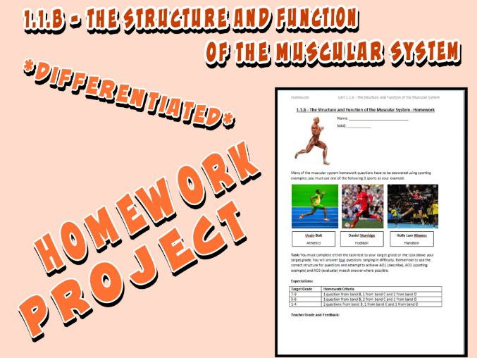 OCR GCSE PE 9-1 (2016) 1.1.b - Homework Project - The Structure and Function of the Muscular System