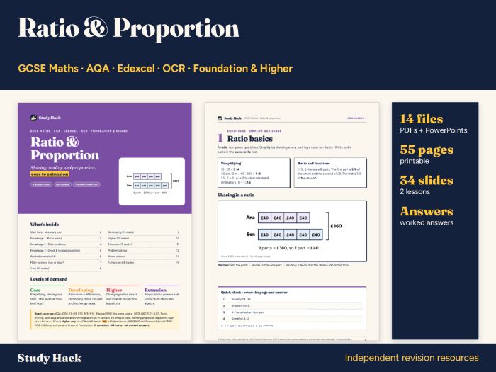 GCSE Maths Ratio and Proportion Complete Topic Pack