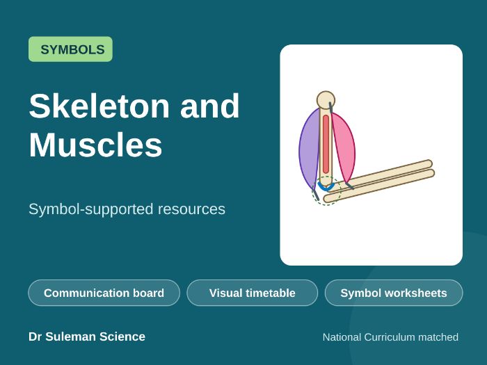 Skeleton and Muscles Symbol Resources SEN
