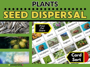 Seed Dispersal | Plants | Card Sort | KS2–KS3 Science