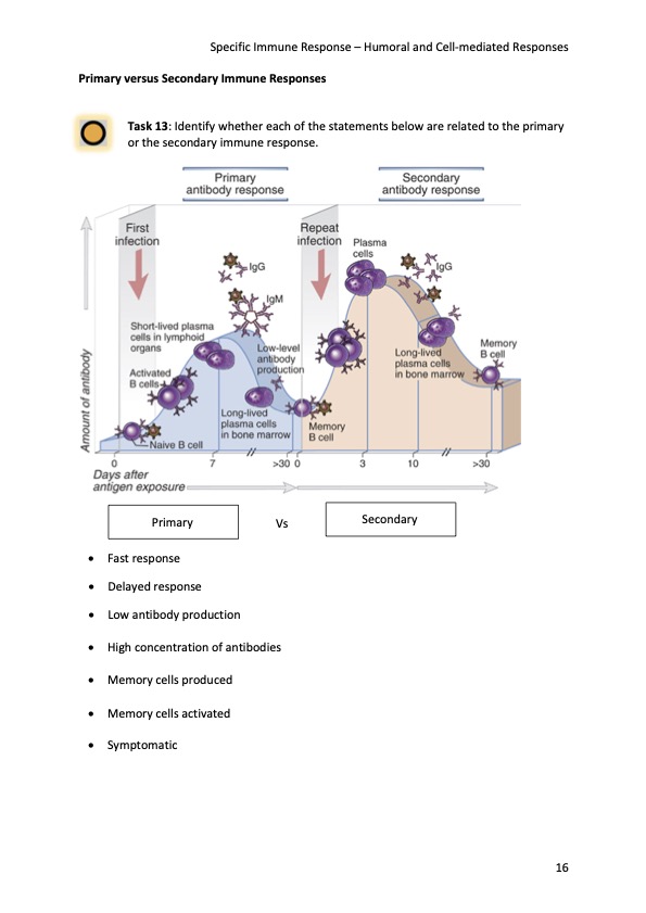 Immune System: T cells, B cells, HIV, Antibodies and Vaccines AQA A ...