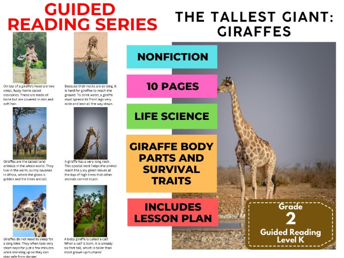 Guided Reading Level K - Tallest Giant Giraffes (with Lesson Plan)