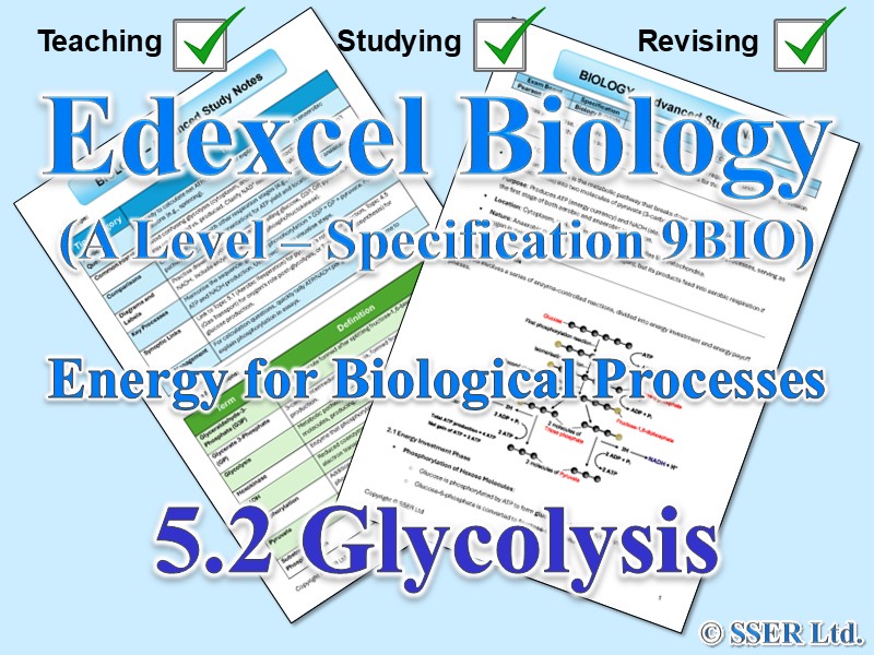 BIOA_EDX Topic Notes: 5.2 Glycolysis