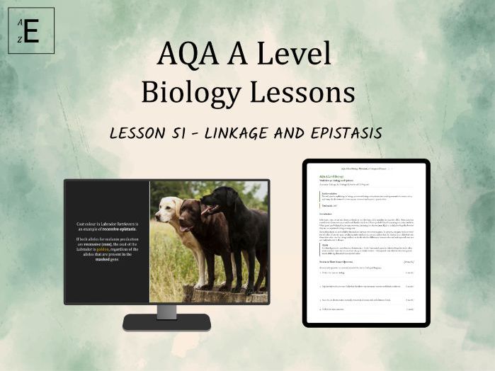 AQA A Level Biology Lesson 51 - Linkage and Epistasis