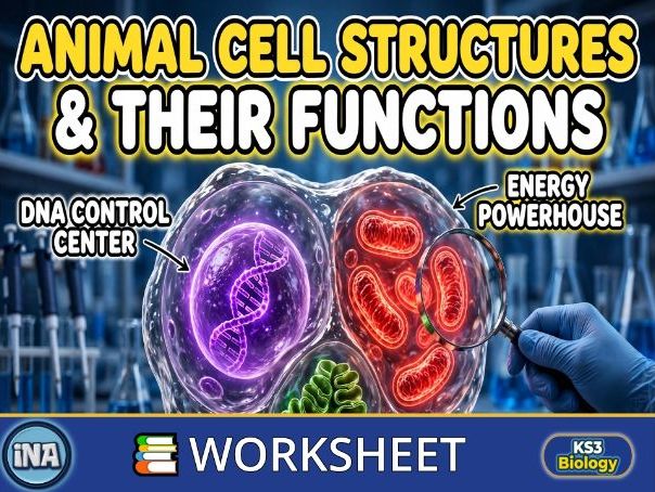 Animal Cell Structures and Their Functions - KS3 Biology Worksheet