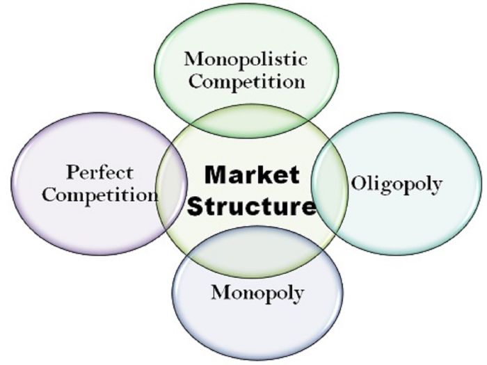 Cambridge iGCSE Economics - 3.7 Types of markets