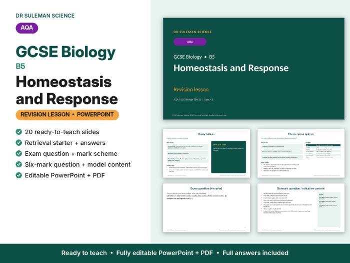 AQA GCSE Biology B5 Homeostasis & Response Revision Lesson PowerPoint