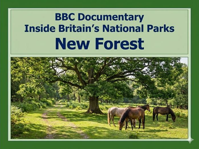 New Forest Documentary