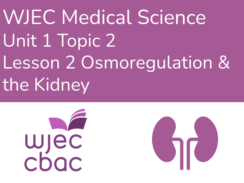 WJEC AAQ Medical Science U1 1.2 Osmoregulation & the Kidney