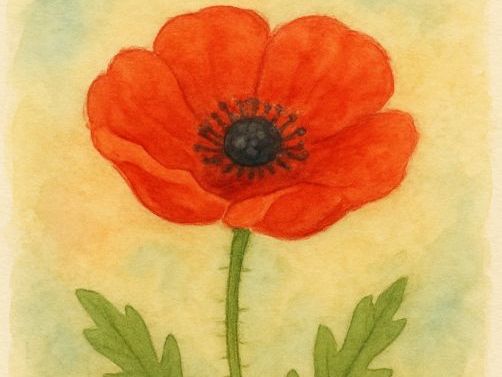POPPY - A Remembrance Acrostic Poem for ks1 & ks2