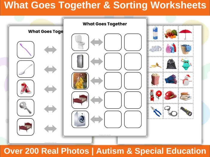 What Goes Together & Group by Function | Real Photo Worksheets for Autism & Special Ed