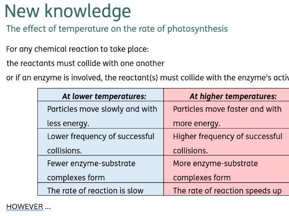 Rate of photosynthesis, including RP6