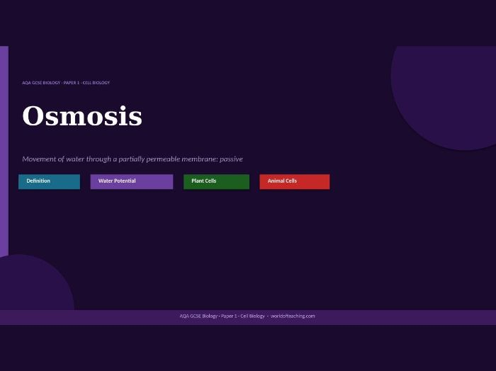 Osmosis: AQA GCSE Biology Revision PowerPoint