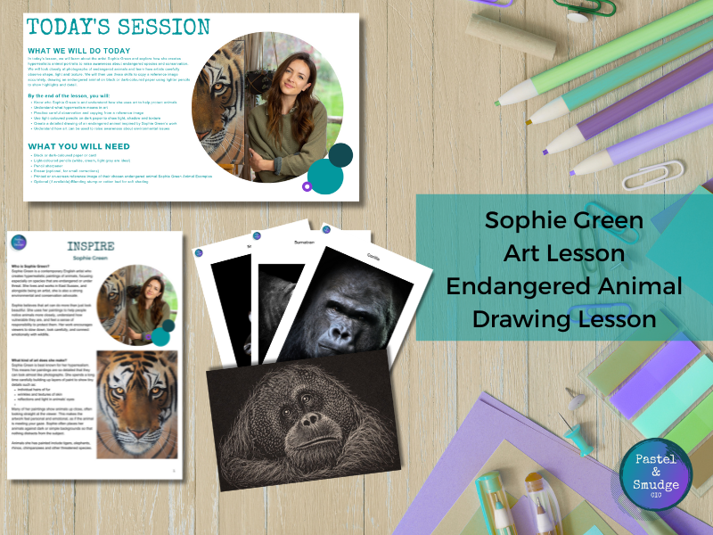 KS2 & KS3 Endangered Animal Drawing Lesson: Sophie Green