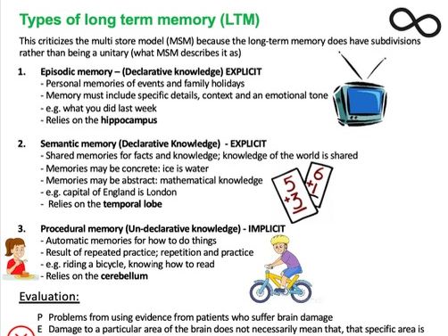 Memory - Psychology AQA