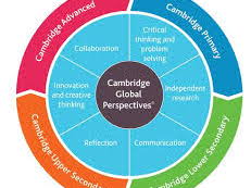 Cambridge IGCSE Global Perspective Group Project sample Presentation