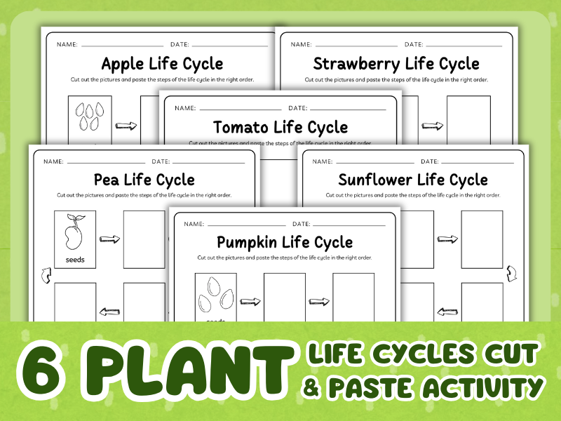 Life Cycles of Plants - 6 Plants to Explore!