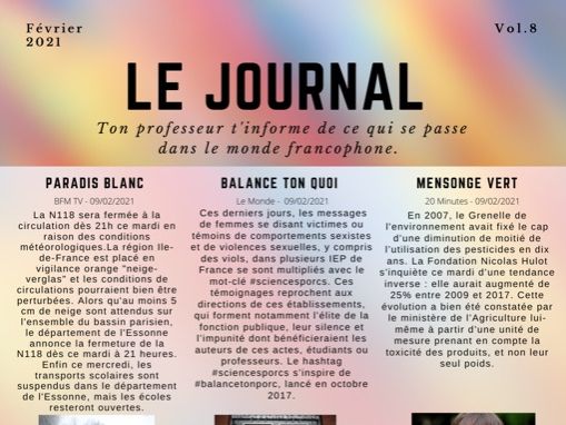 Le Journal 8 - A Level FRENCH