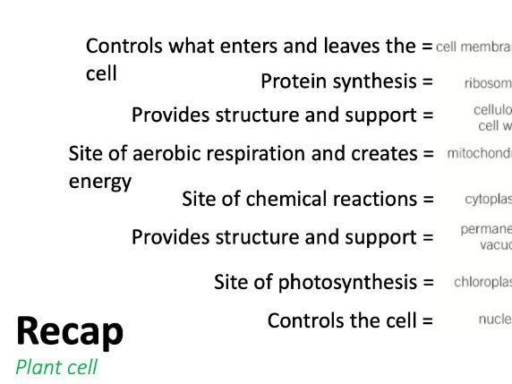 Photosynthesis CIE Whole unit